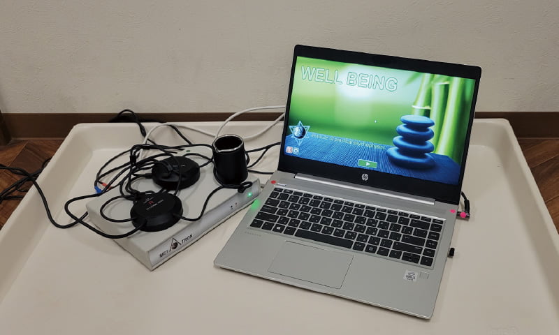 メタトロン診断