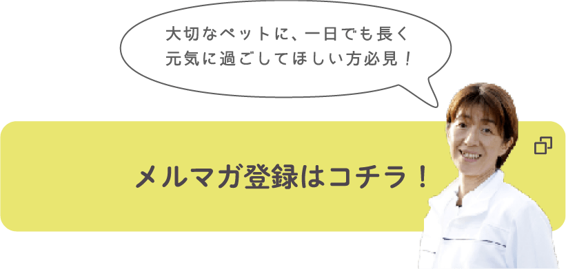 メルマガ登録はこちらから