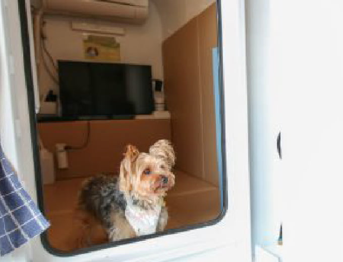 ウェットフード各種