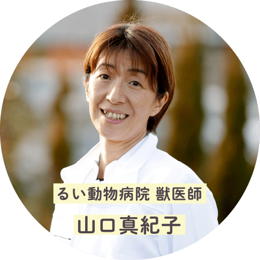 るい動物病院 獣医師山口真紀子