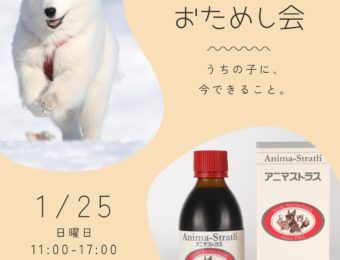 アニマストラス