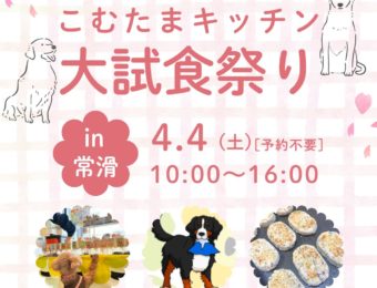 こむたまキッチン